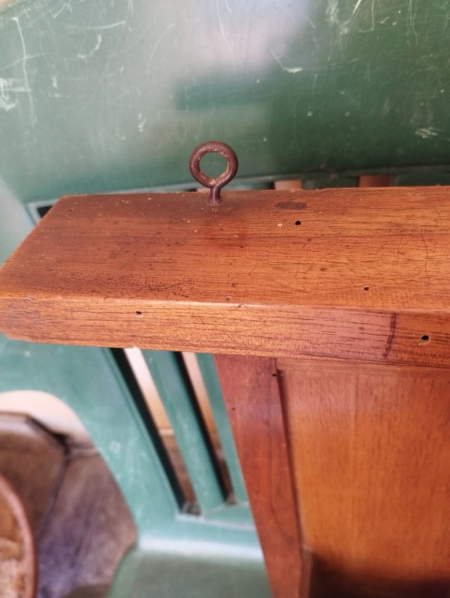 Antico cimelio 1700, "petineus" 