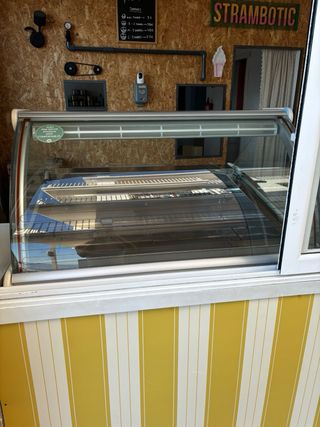 Vitrina Helados Millennium 12