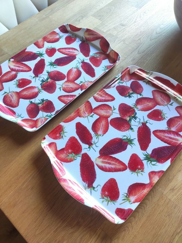 Bandejas de plástico 2ud