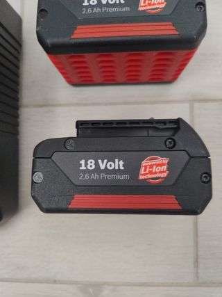 Caricabatterie Bosch 2 batterie da 2,6ah