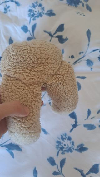 Peluche Trudi Orsetto