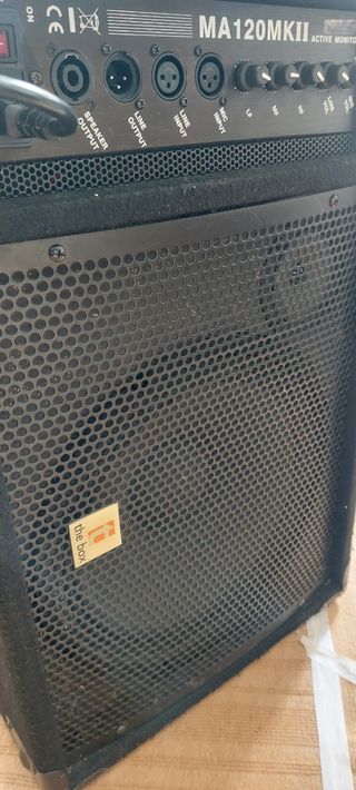 Monitor autoamplificado