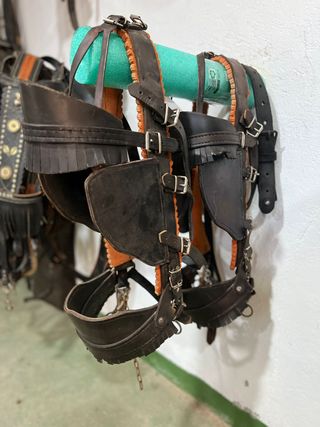 cabezadas Enganche Rosi