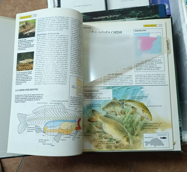 Guia Práctica de Pesca