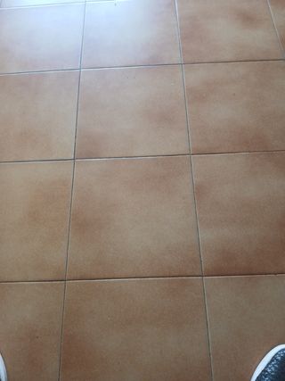 Piso alquiler
