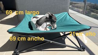 Cama elevada para Perro