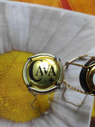 Chapas Cava Codorníu & Delapierre