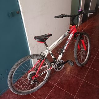 Bicicleta de montaña de niño de 24 pulgadas