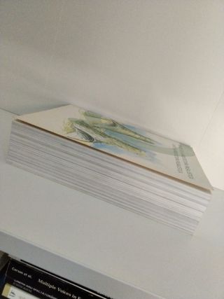 El arte de la arquitectura paisajística