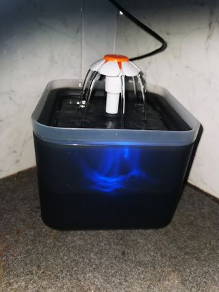 Fuente agua gato - Dispensador