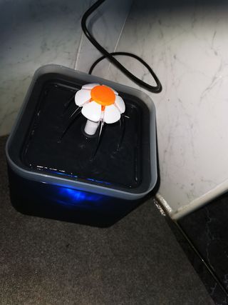 Fuente agua gato - Dispensador