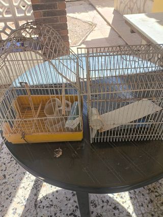 3 jaulas pájaros + regalo jaulón antidepredadores