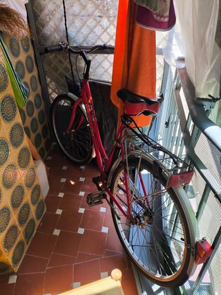 Bici de Paseo