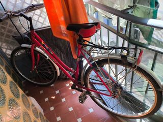 Bici de Paseo