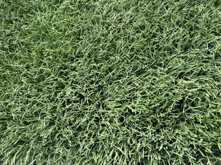 Cesped artificial reciclado de campos de futbol