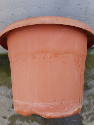 Maceta grande plastico