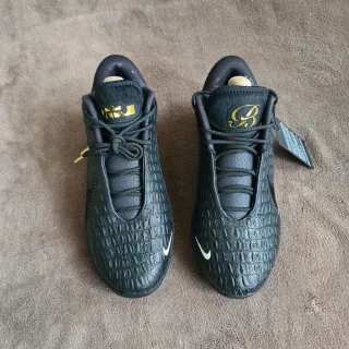 Nike LeBron XXII - Zapatillas Black Label