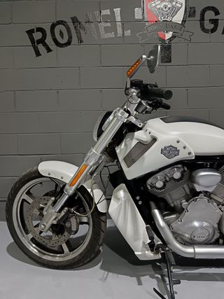 HARLEY DAVIDSON VROD MUSCLE