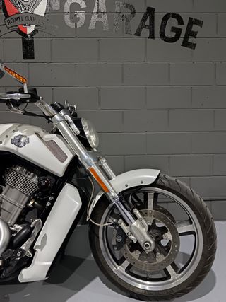 HARLEY DAVIDSON VROD MUSCLE