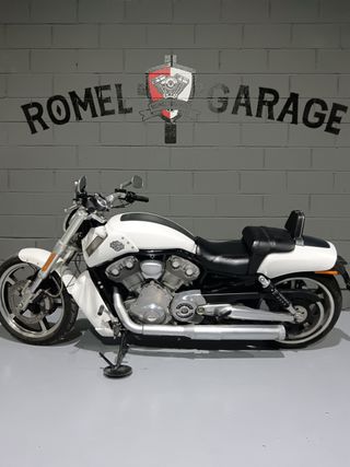 HARLEY DAVIDSON VROD MUSCLE