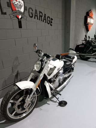 HARLEY DAVIDSON VROD MUSCLE