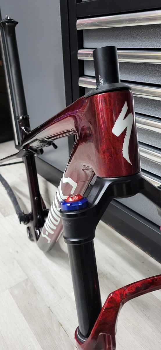 módulo specialized epic sworks World Cup talla m