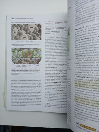 Fundamentos de biología (Spanish Edition)