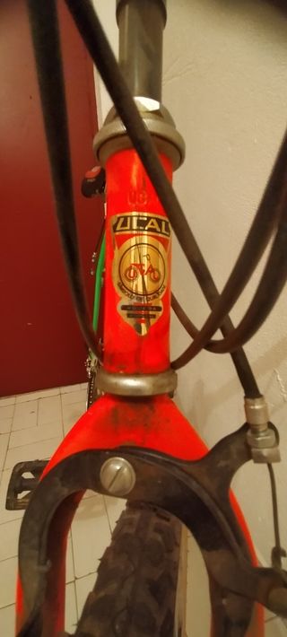 Bicicleta montaña vintage