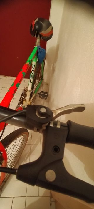 Bicicleta montaña vintage