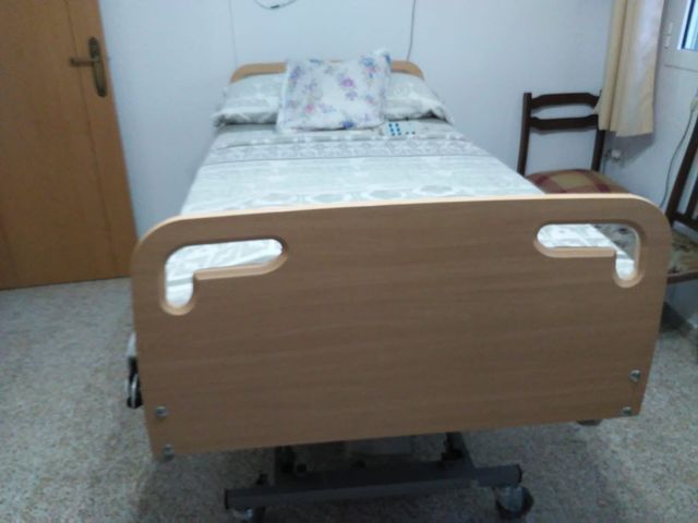 Cama eléctrica articulada