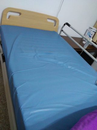 Cama eléctrica articulada