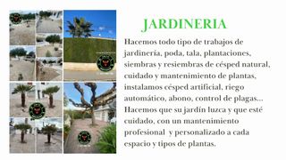 Servicios Integrales hogar y negocio