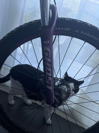 Bicicleta Ghost MTB blanca