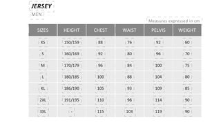 Maillot ciclismo ALE talla L