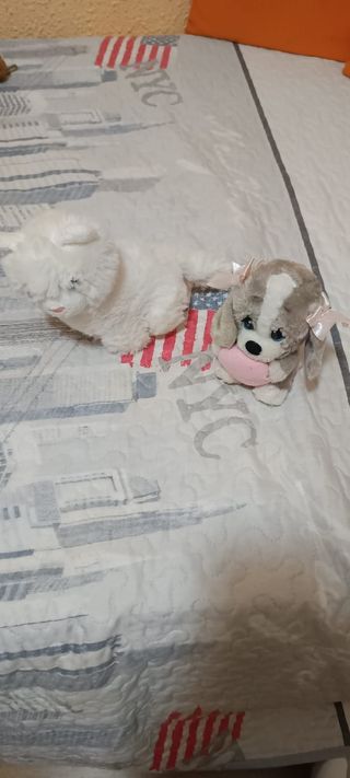 Peluches gato y perro