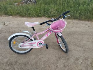Bicicleta niña 18" WST