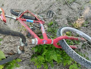 Bicicleta BH California vintage