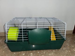 Jaula cobaya