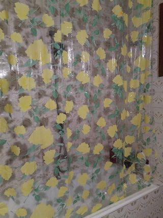 Limpieza hogar: persianas y baño