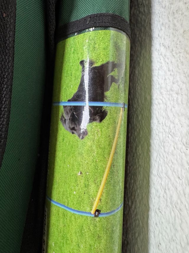 Circuito Agility para Perros