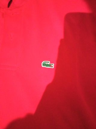 Polo Lacoste Uomo Rosso