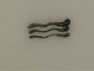 Vajilla porcelana Bidasoa blanca y dorada vintage