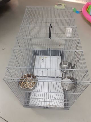 Jaula pájaros - Gris y Blanca
