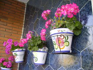 Cámara Benq DC C530