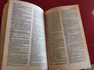 The English Dictionary (Dikshonari)