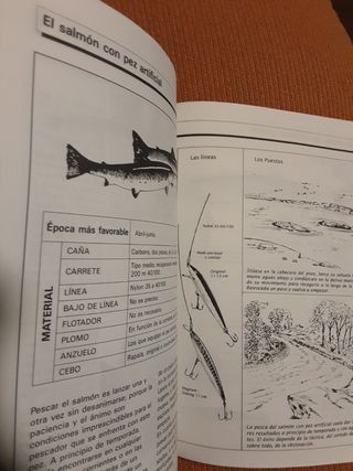 LA PESCA EN EL RÍO DE LA A A LA Z. TECNICAS Y MÁS