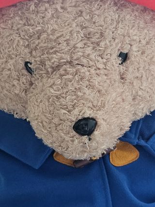 Orso Paddington - Peluche Nuovo
