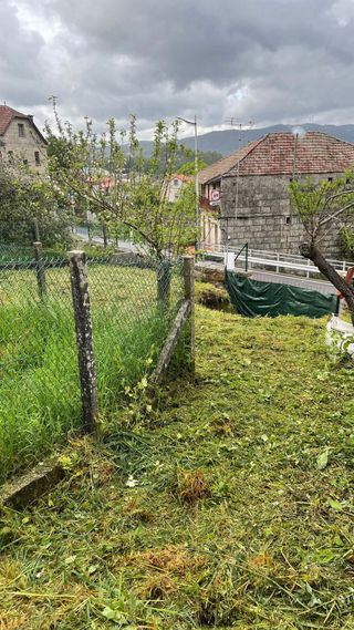 Desbroce zona Ponteareas