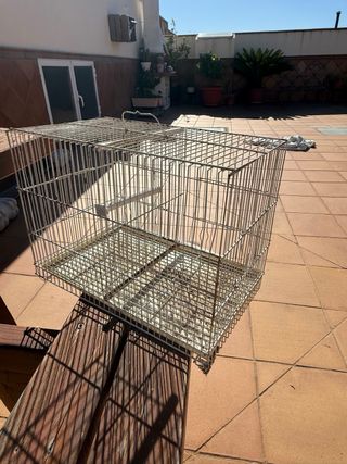 Jaulas pájaros