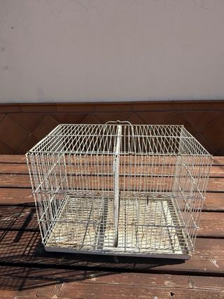 Jaulas pájaros